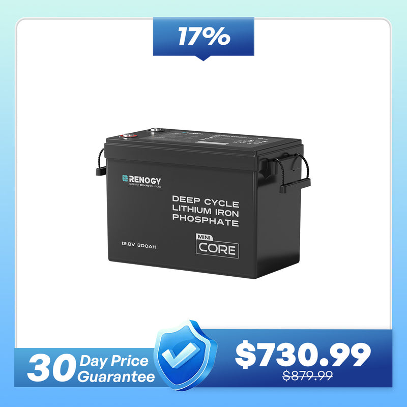 Mini Size 12V 300Ah LiFePO4 Battery w/ Low-Temperature Protection