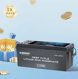 12V 300Ah Deep Cycle Lithium Iron Phosphate Battery w/Self-Heating | Core Series