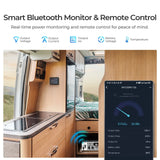 2000W 12V Pure Sine Wave Inverter with UPS Transfer Switch and Built-in Bluetooth Renogy