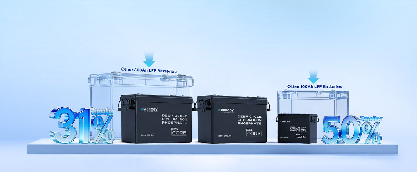 Renogy Mini Size LiFePO4 Battery sale