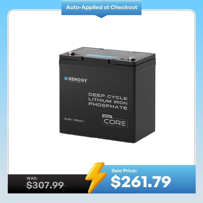 Mini Size 12.8V 100Ah Lithium Iron Phosphate Battery