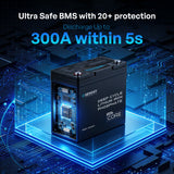 Renogy Core Mini - LiFePO4 12.8V  300/200/100Ah Lithium Batteries