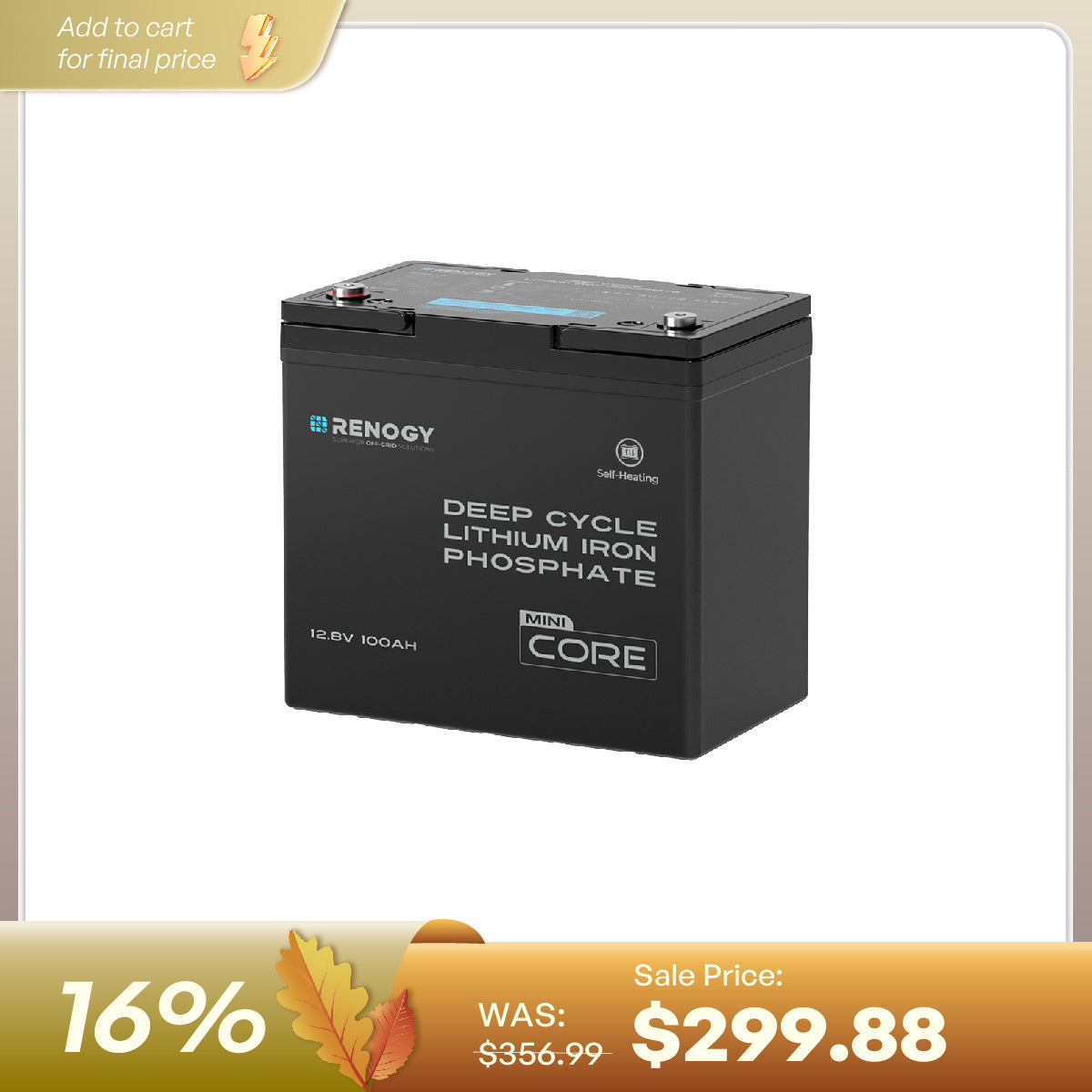 Mini Size 12V 100Ah DuoHeat Tech Lithium Iron Phosphate Battery