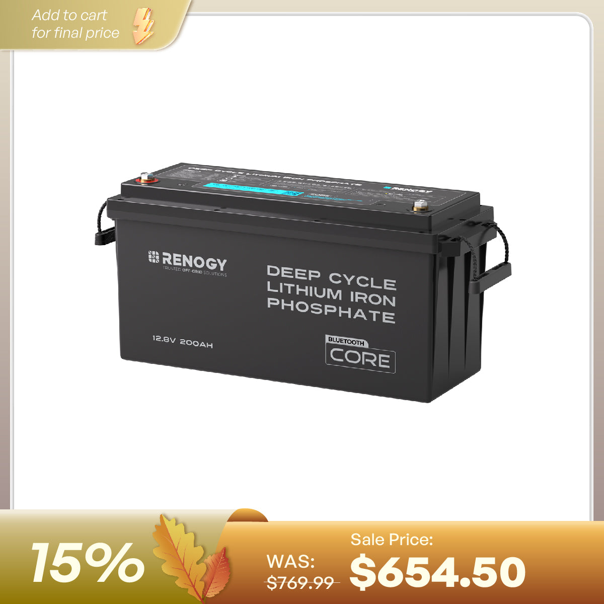 Pre-Sale 12V 200Ah LiFePO4 Battery w/ Low-Temperature Protection