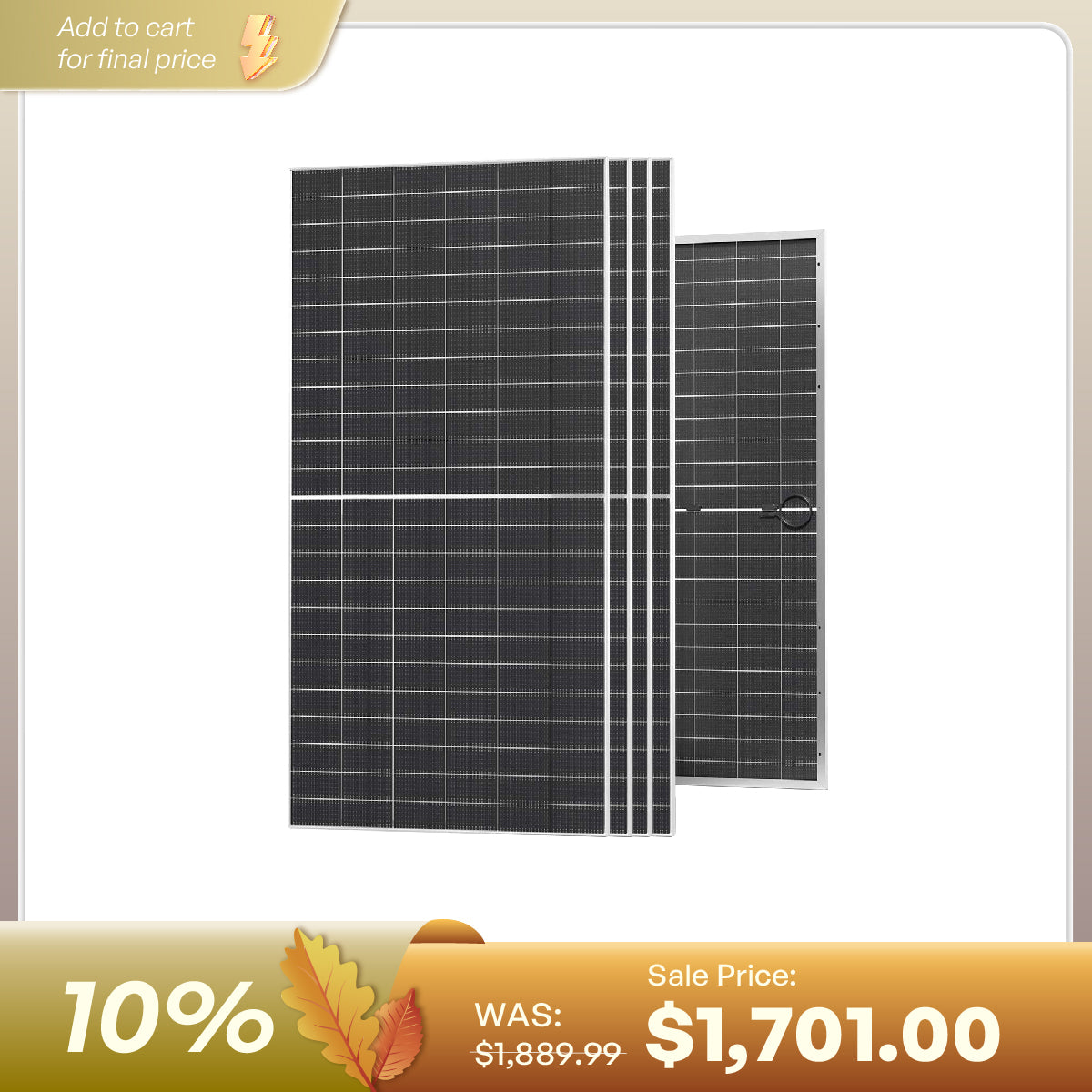 590W N-Type Bifacial Solar Panel（2-Pack）