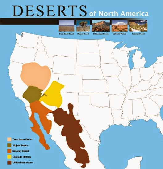 north american desert